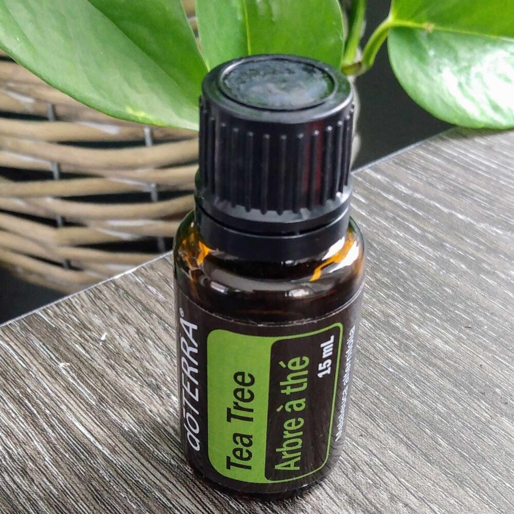 doTerra Tea Tree Essential Oil